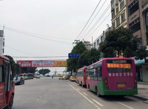 广西宾阳县高铁站,地处黎塘镇却命名为宾阳站