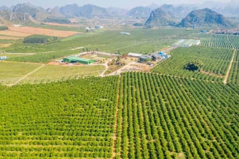 为什么在南宁买房的人,武鸣比宾阳上林多?潘小七广西小勇小凤