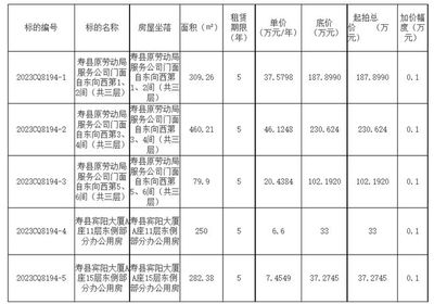正在招标!寿县城投公司资产2023年第九批租赁项目交易公告