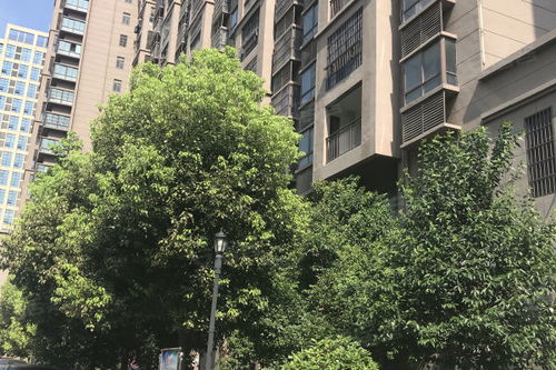 宾阳豪庭优点 不足,宾阳豪庭怎么样,宾阳豪庭周边房产中介经纪人评价 淮南安居客