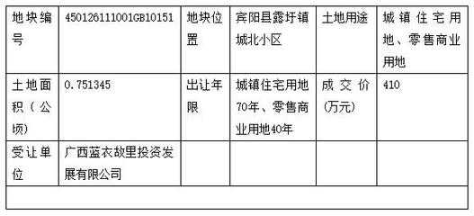 广西宾阳出让11亩商住用地 成交价410万元