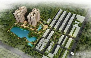 宾阳哥霸气甩下9140万元,挫败对手掌控房产市场