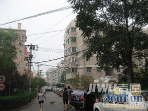 潍坊四平路洗衣粉厂宿舍二手房市场概况与小区分析