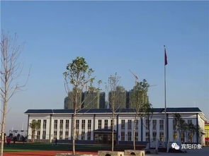 宾阳县凤凰小学招生启动,优质教育资源助力宾阳房产价值提升